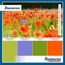 Cargar imagen en el visor de la galería, Latex Acrilico SATINADO Jhomeron