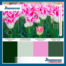 Cargar imagen en el visor de la galería, Latex Acrilico SATINADO Jhomeron