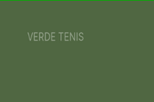 Cargar imagen en el visor de la galería, Látex Satinado MATIZADO o GRANEL Arte Paint