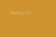 ESMALTE	EPOXICO (Etiqueta azul) KIT 1/2 gal