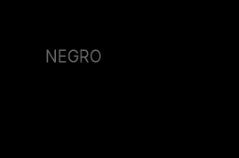 Látex Felsa MATIZADO O GRANEL