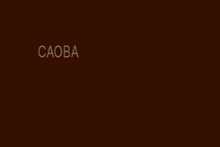 Cargar imagen en el visor de la galería, Laca/Duco Piroxilina Para Madera ARTE PAINT 1/2 gal
