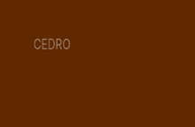 Cargar imagen en el visor de la galería, Laca/Duco Piroxilina Para Madera ARTE PAINT 1/2 gal
